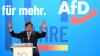 German intelligence flags rise in AfD's right-wing extremist potential