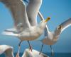 NJ Residents Don't Like This About Our Beaches