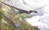 95-Million-Year-Old Pterosaur Fossil Discovered in Egypt