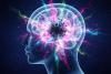 New Imaging Study Shows Psilocybin Alters Brain Communication Patterns, Researchers Say