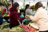 As Thousands Lose SNAP Benefits, Midwest Vendors and Farmers Markets Brace for a Hit in Sales