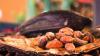 Favorable West African Weather Weighs on Cocoa Prices