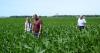 Ohio grower optimistic after challenging, wet spring