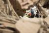 Venezuela Earthquake Diplomacy Turns Rubble Into a Rare Political Bridge