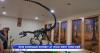 Dinosaurs return home: New Shell exhibit brings Wyoming fossils back to the Bighorn Basin