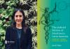 Courts and Abortion Reform in Latin America