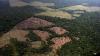 Public debate and official figures: deforestation in Colombia reaches its lowest level in two decades