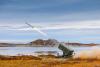 KONGSBERG to Deliver NASAMS as Core Layer in Kuwait’s Air Defence Architecture