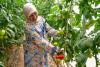 Smart Farming Is Not the Future. It Is Already Here
