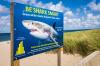 Why Shark Warnings Are Returning to the East Coast