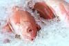 Louisiana increases red snapper limit for holiday