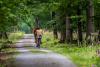 Exploring Southwestern Hungary: Cycling, History, and Local Stories Along EuroVelo 13