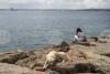 Investigation Launched аgainst Turkish Mayors оver Stray Dogs