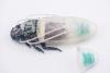 Scientists Made Tiny Diving Suits for Cyborg Cockroaches. They Can Breathe Underwater for 3 Hours