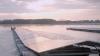 A Floating Solar Farm In The Netherlands Is Having A Big Effect On Underwater Habitats