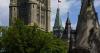 Canadian tribunal says wheat gluten dumping is likely hurting industry
