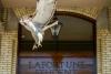 The Humanities and the Birds of Appetite