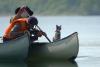 The Japanese Travel Show Where Cats Lead the Way