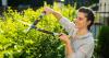 British gardeners warned not to trim hedges in July as it could break the law