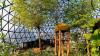 Abu Dhabi brings the great outdoors inside