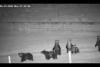 Multiple Grizzly Bears Caught on Montana Ranch Security Camera