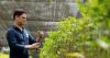 Secret Amazon species may be new source of ibogaine for addiction treatment