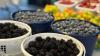 Mississippi farmers markets to celebrate Independence Day with America250 events