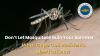Don’t Let Mosquitoes Ruin Your Summer: What Cape Cod Residents Need to Know