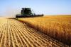 Nearly 2 billion manats to be allocated for financing the State Program on Agriculture through 2030