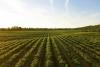 Iran conflict hits home as high fuel, fertilizer costs squeeze eastern Idaho