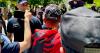 Protesters and police clash in Albania on day after MEPs visit