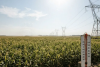 Ohio's grid operator seeks emergency powers to bypass emissions rules as historic heatwave looms