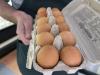 Vermonters paid too much for eggs, officials say. Now they’re getting nearly 1 million of them.