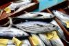 Thai Union says 84% of tuna now comes from certified or improving fisheries