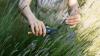 Gardeners must prune 9 plants this month for 'vigorous' growth all summer