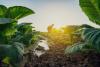 Voice of the Farmer 2026: Survey reveals urgent income and climate crisis weighing on returns