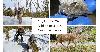 City Light’s 2026 Wildlife Research Grant Recipients