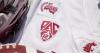 Washington State announces jersey patch ads for all sports through 5-year sponsorship deal