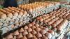 2 million eggs will be donated to Wisconsin food banks as part of DOJ settlement; companies accused in scheme to raise prices