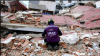 Venezuela earthquakes may have damaged nearly 59,000 buildings: NASA