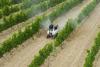 Agricultural tech costs set to shrink, improve efficiency