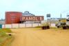 Cameroon's PAMOL Narrows 2025 Loss, but Core Business Remains Deep in the Red