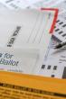 Delta County Clerk Launches Online Tools for Public Access to Election Records