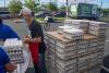 Hawaii due to receive 1M eggs from price-fixing settlement