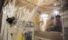 Ebola outbreak will cause major harm to Africa’s economies, UN warns