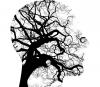 Why teach mental health?