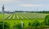 Unfounded fears hamper Louisiana’s solar boom