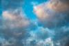 Weather & Traffic: Wednesday, 1 July: Plants rejoice as potential rain announced