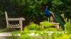 Salt Lake City police investigate deaths of peafowl, as residents push for charges