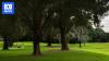 New Sydney park set to open to public after golf course carve up